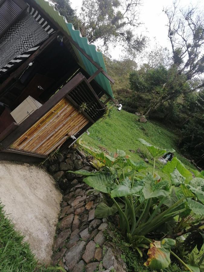 Pance Casa Yantra La Lola酒店 外观 照片
