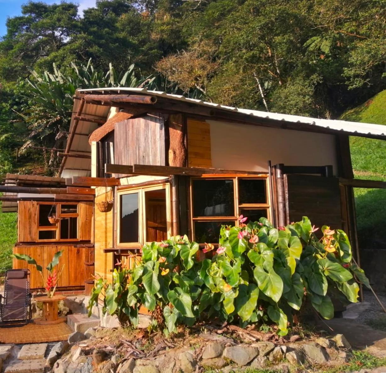 Pance Casa Yantra La Lola酒店 外观 照片